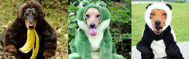 21 Wildest Wieners