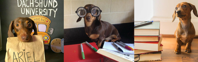 These 15 Weens are Ready to go Back to School!