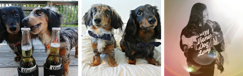 DIY: A Dapper Bowtie