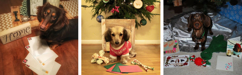 Christmas Card Exchange Update!