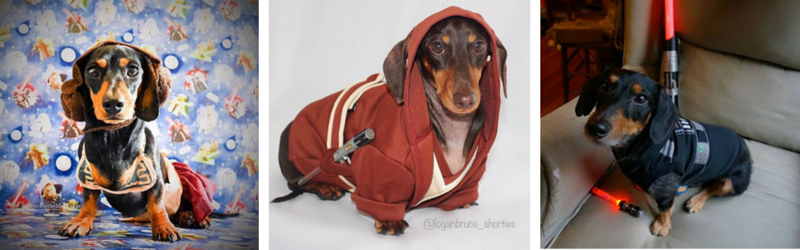 The Weenie Awakens! #StarWeens