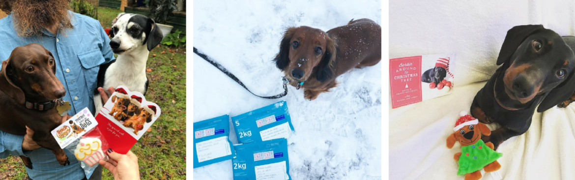Christmas Card Exchange Update!
