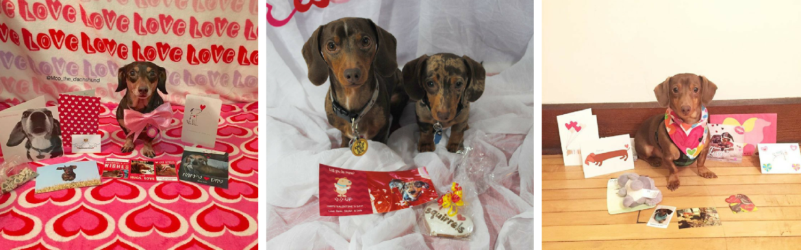 Update on our first Valentine’s Card Exchange!