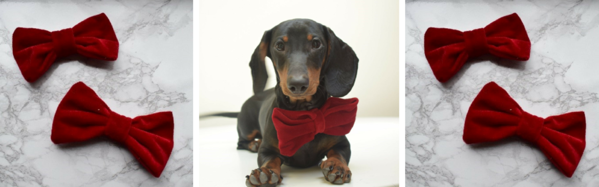 DIY with Katinka: a Bowtie