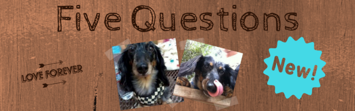 New! Five Questions