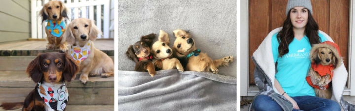 Five Questions: Winston, Finley & Theodore