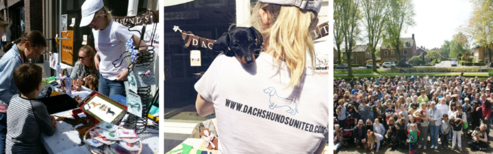 Dutch Day of the Dachshund: We were there!