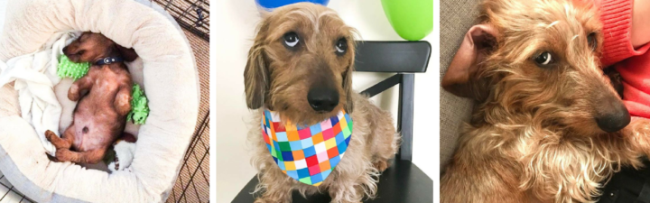 Five Questions: Marvin