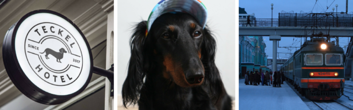 LIVE BLOG: Trip to the Dachshund Hotel (English/Nederlands)