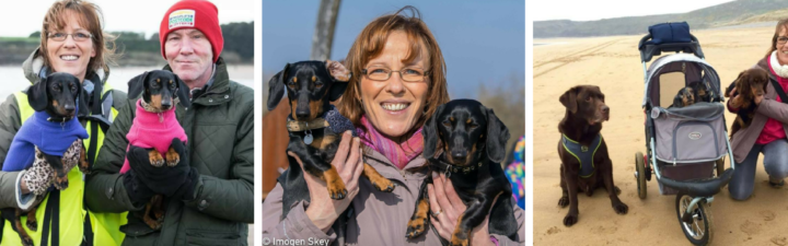 North Meets South: A Welsh Dachshund’s Adventure (Part 1)