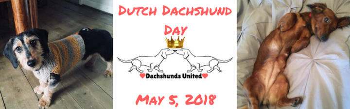 Dutch Dachshund Day: Fundraiser For The Red Foundation